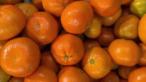 Tracking shot on mandarins Stock Footage 326246187