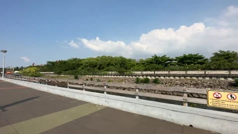 Tracking Shot of Mangrove Forest View from a Bridge Stock Footage 244857641