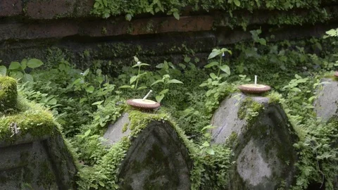 Tracking shot moss at ancient pagoda. 스톡 동영상 79781127