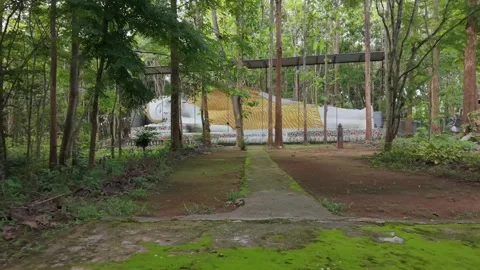 Tracking shot of a mossy pathway leading to a Buddha statue Video stock 335618041