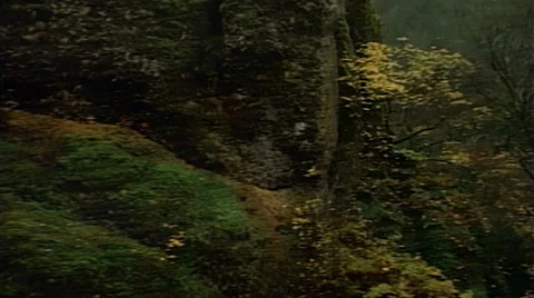 Tracking shot of mountain waterfall Stock Footage 29807361