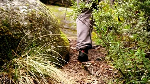 Tracking shot of mountaneer Stock Footage 74505758