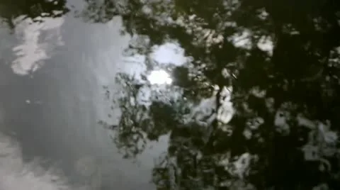Tracking shot movement along river with reflected sun and shadows. Stock Footage 11516710