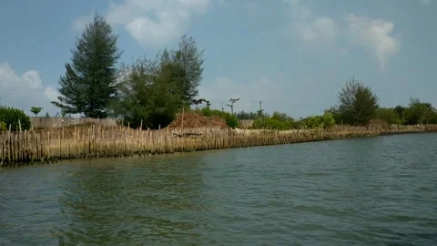 Tracking shot from a moving boat gliding along a calm tropical riverbank Stock Footage 345814956