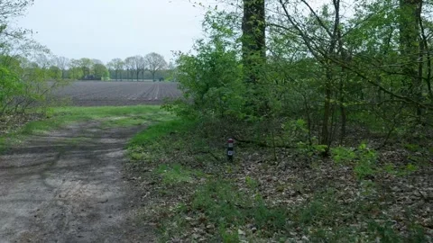 Tracking shot moving from forest path to plowed agricultural field 스톡 동영상 336594600