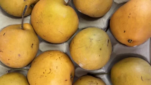Tracking shot on Nashi pears Video stock 328939509