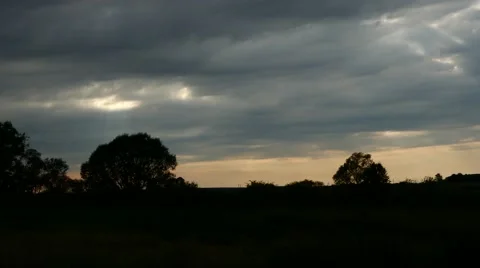 Tracking shot nature, silhouette trees and rays of light beaming through clouds Stock Footage