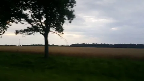 Tracking shot of nature with trees and agricultural fields - car side view Stock Footage 69851606