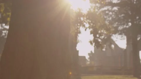 Tracking Shot of an Old Castle Vídeos de archivo 138715777