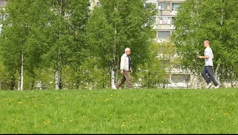 Tracking shot old man walking in the park Vídeo Stock 5316046