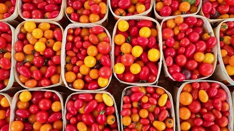 Tracking shot over cherry tomatoes at a farmers' market Stock-Footage 317096365