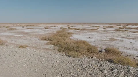 Tracking shot over cracked salt flat with dry desert shrubs and harsh midday sun Stock Footage 319794644