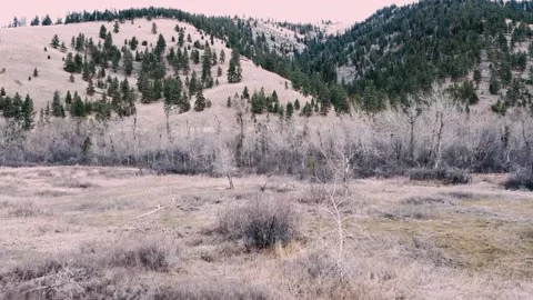 Tracking shot over open field in rural Montana Stock Footage 211110777