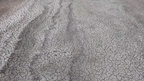 Tracking Shot Over Parched Earth Texture and Fractured Mud Surface on Lake Bed Video stock 345099730