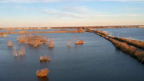 Tracking shot over a road at the edge of the bayou on a clear day Stock Footage 101304886