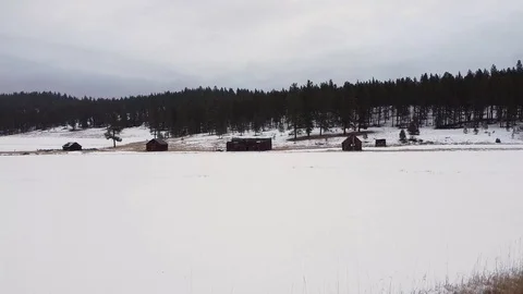 Tracking shot over snow covered field toward abandoned log cabins with trees Stock Footage 125278063