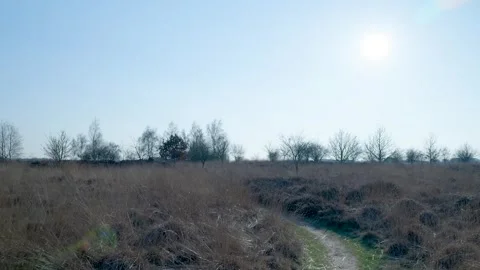 Tracking shot over a trail in a dry grassy meadow Stock-Footage 335027301