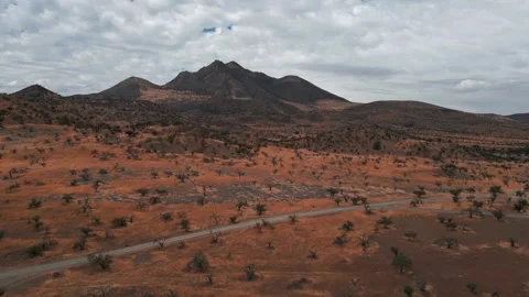 Tracking shot over vast arid red plain with bare scattered trees and dirt track Stock Footage 336499640