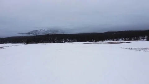 Tracking shot over vast snow covered field toward thick evergreen forest and Stock Footage 125278073