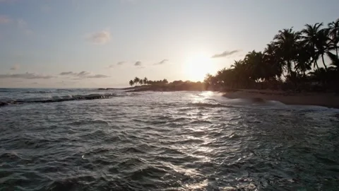 Tracking shot over water to palm fringed beach at sunset Video stock 229022011