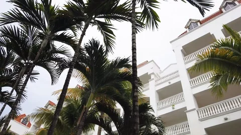 Tracking shot of Palm trees beside resort building 4k slow motion Stock Footage 108527100
