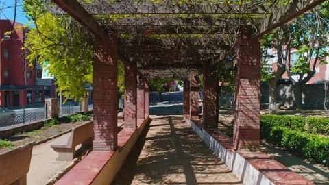 Tracking shot in park 스톡 동영상 76358040