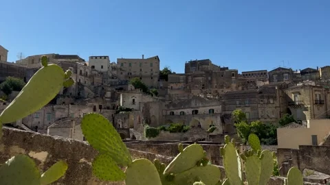 Tracking Shot Past Cactus Overlooking Sassi di Matera Italy Video stock 336675083