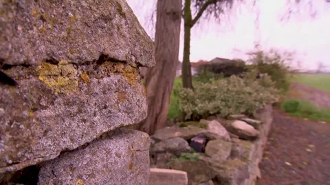 Tracking Shot Past Cobbled Wall as Farm Dog Runs By Stock Footage 297284949