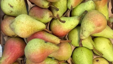 Tracking shot on pears displayed in cardboard Stock Footage 317223619