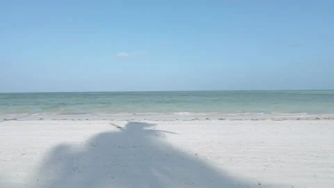 Tracking shot of perfect beach and palm tree leaning extending out over it Stock Footage 148531241