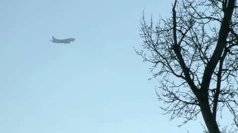 Tracking shot of plane descent behind trees Stock Footage 10710045