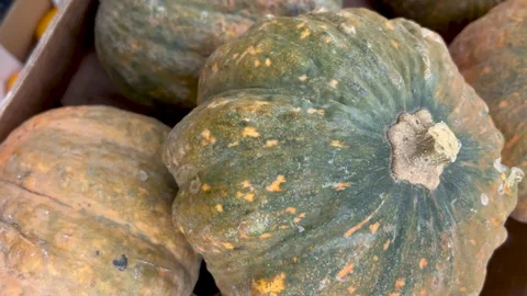 Tracking shot on pumpkins displayed in crates at the grocery Stock Footage 301638795