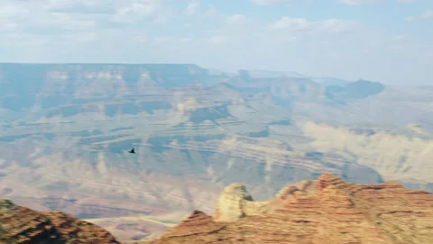 Tracking shot of Raven flying above Grand Canyon - Navajo Point Lookout Stock Footage 168433905