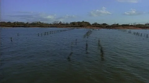 Tracking shot right to left close-up of houses on stilts and docks on water 스톡 동영상 29804486