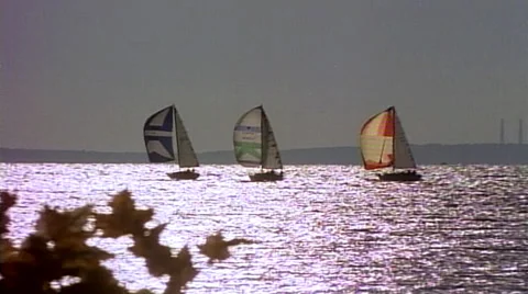 Tracking shot right to left of sail boats in Long Island Sound Stock Footage 29804722