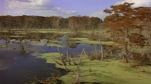 Tracking shot right to left of Swamp land with clouds reflecting off of water Stock Footage 29804245