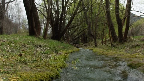 Tracking shot right small river by green trees, New Zealand Stock Footage 89866681