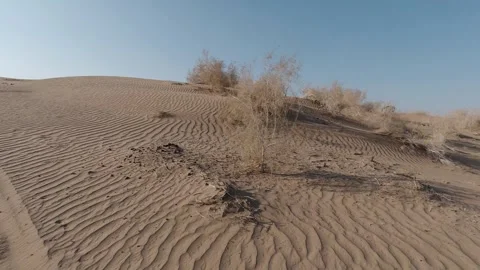 Tracking shot up a rippled desert dune with dry bushes in harsh sunlight Stock Footage 319794560