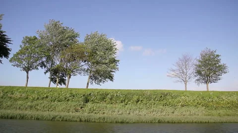 Tracking shot of a river bank Stock Footage 50049395