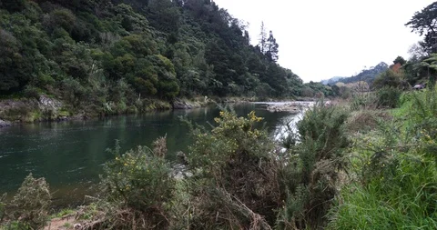 Tracking shot of river in slow motion with shrubs in foreground Stock Footage 90086284