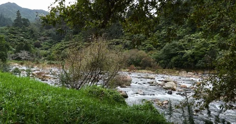 Tracking shot of river in slow motion Stock Footage 90086333