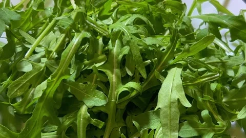 Tracking shot of a rocket salad viewed from above Video stock 333849829
