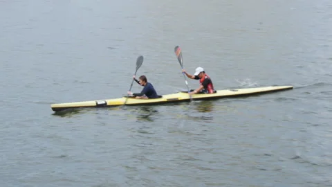 Tracking shot of rowers training in the river, Hong Kong Stock Footage 150263685