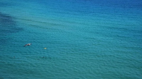 Tracking shot of seagull flying over blue sea. Stock Footage 114231373
