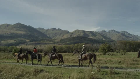 Tracking shot in slow motion of group of horse riders Stock Footage 159105415