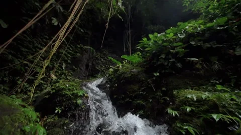 Tracking Shot of a Small Waterfall 库存影片 210734145