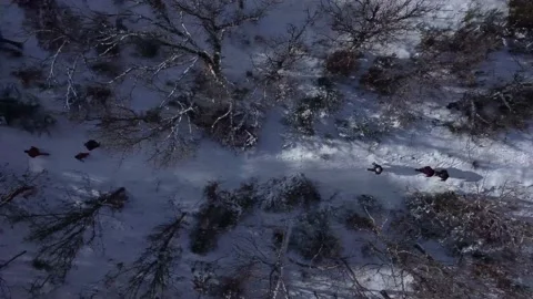 Tracking shot of snow mountain trees and people walking from above Stock Footage 158547569