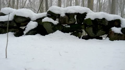 Tracking shot of snowy dry stone wall in forest Video stock 148964737