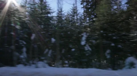 Tracking shot of snowy forest with sunrays Stock Footage 47204993