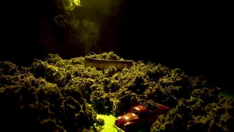 Tracking shot of sorted dried and treated buds of medical cannabis.CBD healthcar Stock Footage 122242691